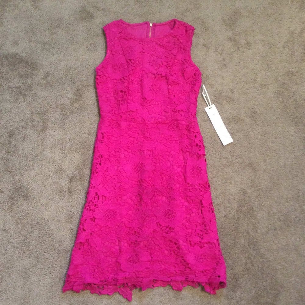 NWT Ryan Michelle Pink Lace Dress - Picture 1 of 4